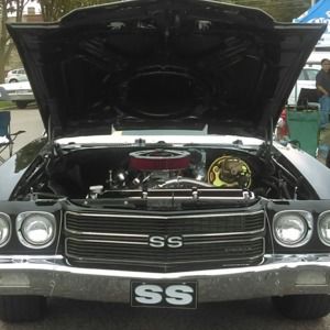 Meet your Posher, Zachary